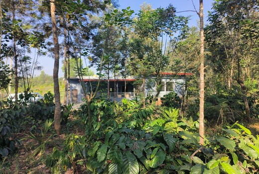 Moogli Homestay