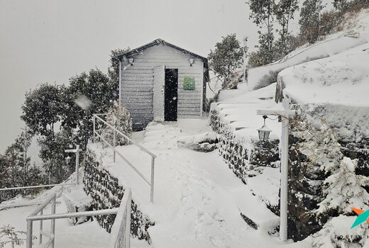 Zostel Homes Dhanaulti