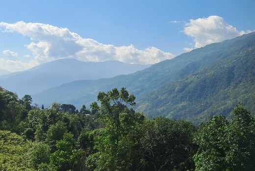 SANDALYA HOMESTAY DODAK SIKKIM NEAR BINDRABAN