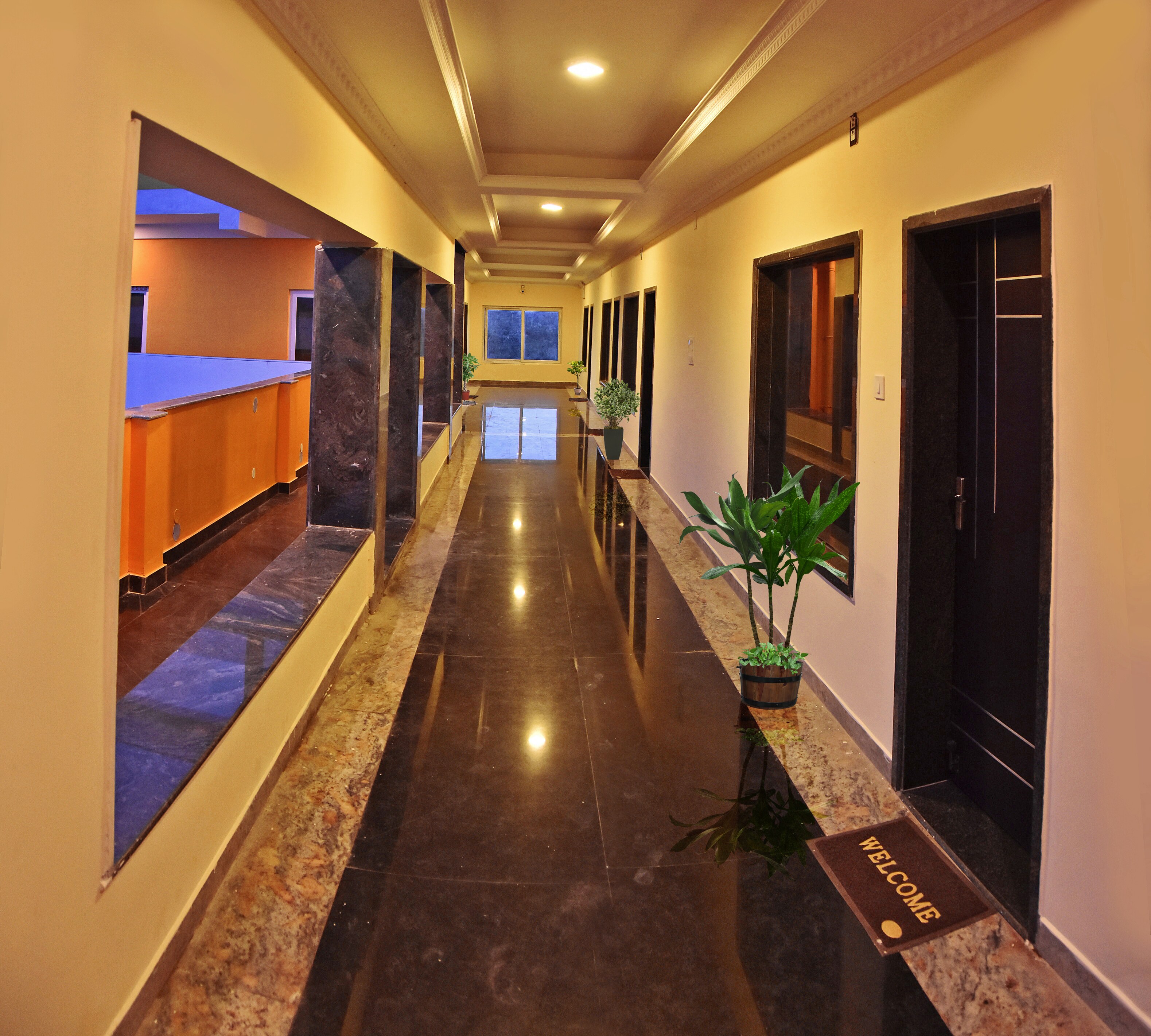 Main gallery