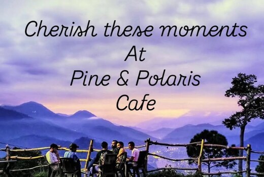 Pine and Polaris
