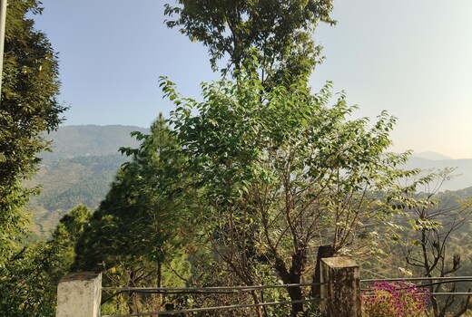 Anand Van Homestay