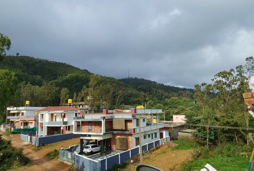Coorg Green View Homestay