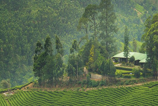 Talayar Valley Bungalow | Private Waterfall and Tea Estate View