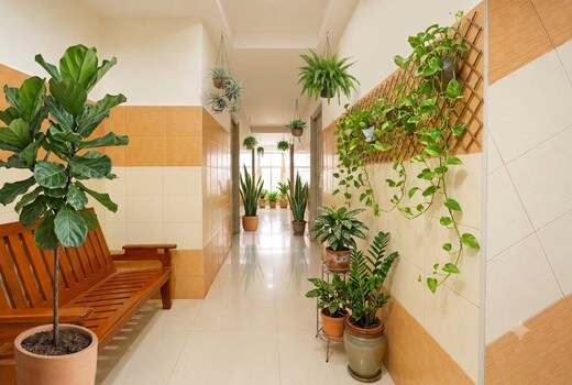 Hotel O Seven Hills Grand