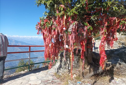 Himalayan Luxury Campsite