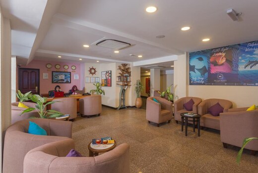 Main gallery