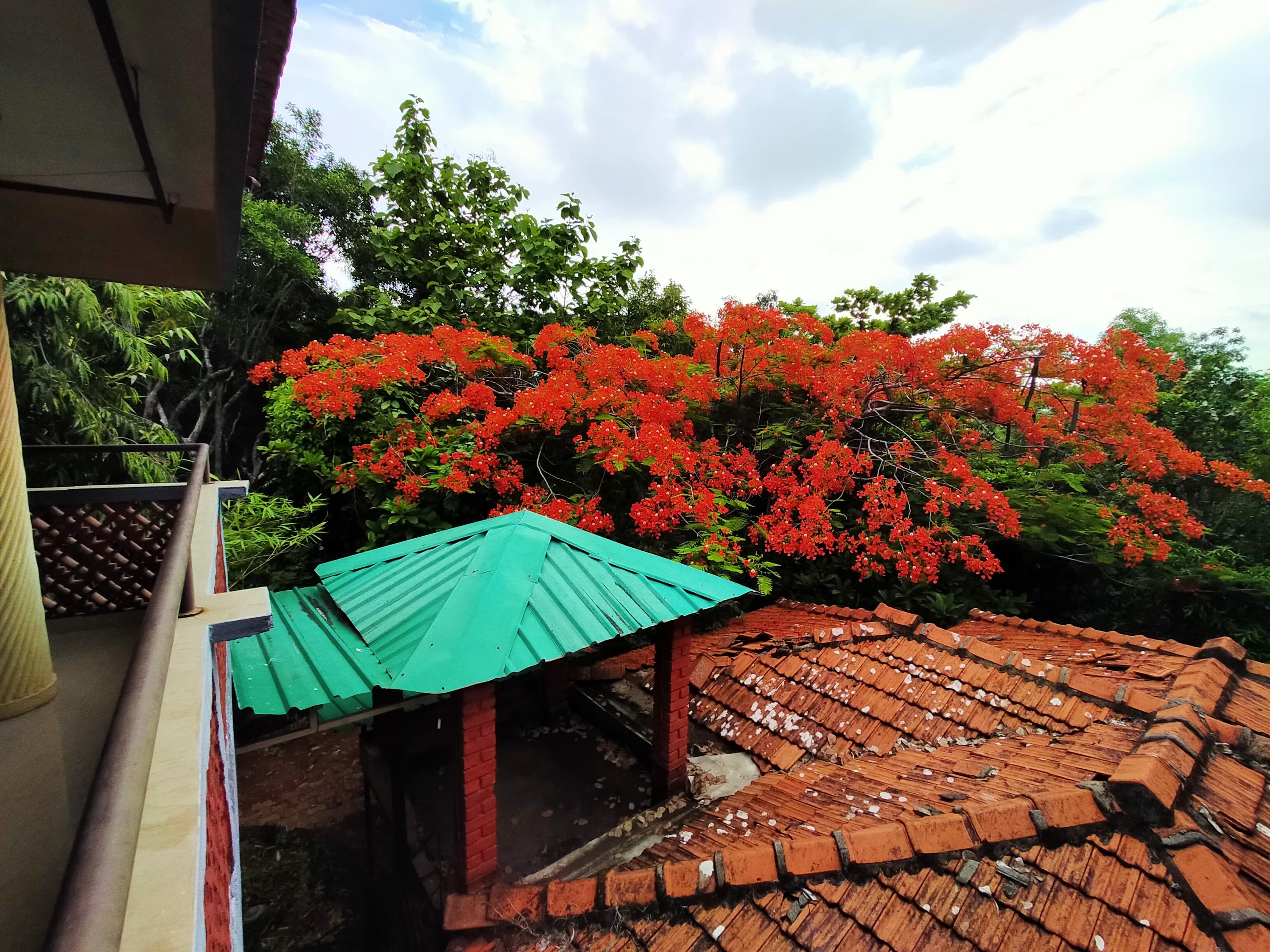 Nature Inn Cottages
