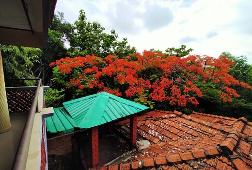 Nature Inn Cottages