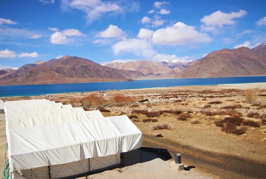 Camp Redstart Pangong