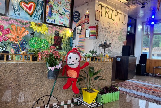 Park Homestay