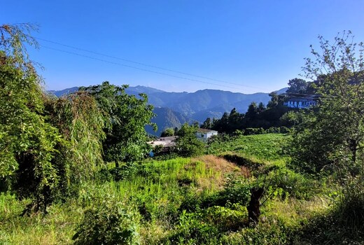 Rituraj Homestay
