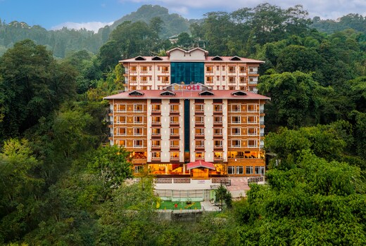 Ginger Gangtok