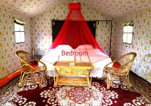 Jungle Safari Luxury Camps