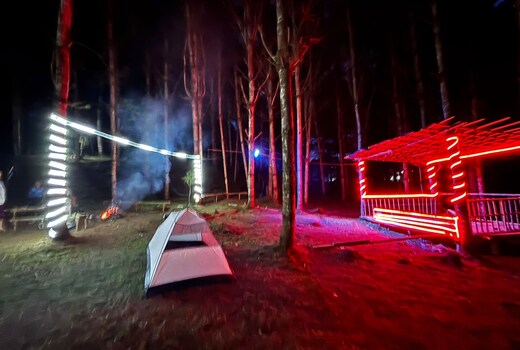 Camp tribal roots