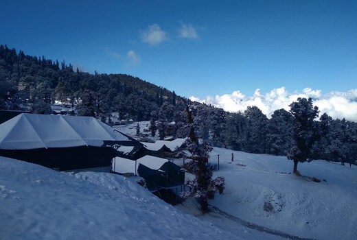 Camping at Serene Chopta