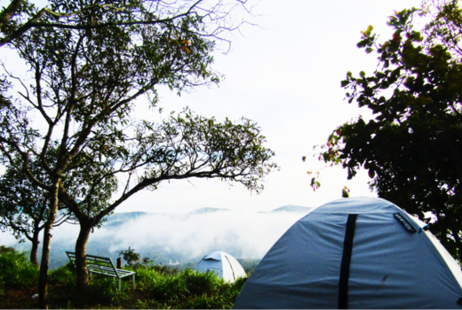 Kaattady Farmstay