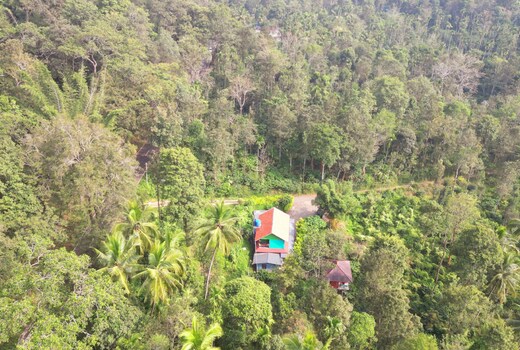 VMJ Wild Stay