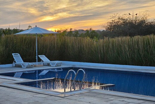 THE LEOPARD VIEW JAWAI