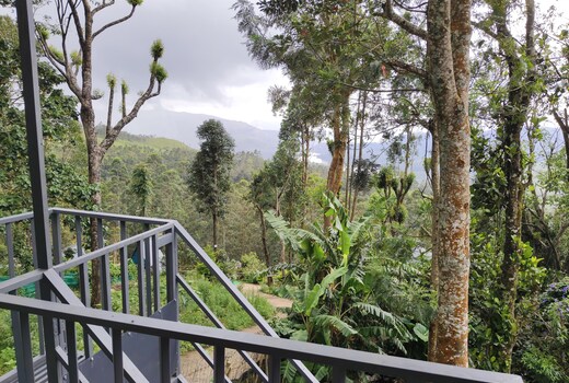 Sunrise Homestay