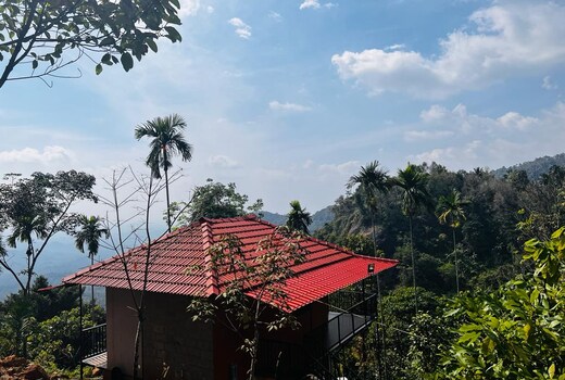Wild Breeze Homestay