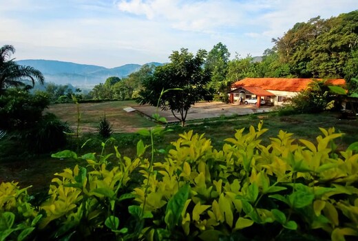 Chikmagalur Hilltop Homestay Experience