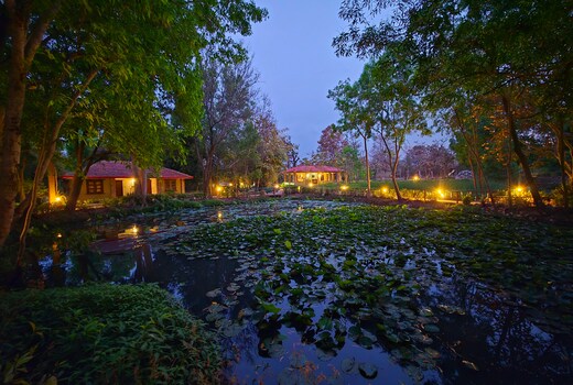 Tiger Trails Resort