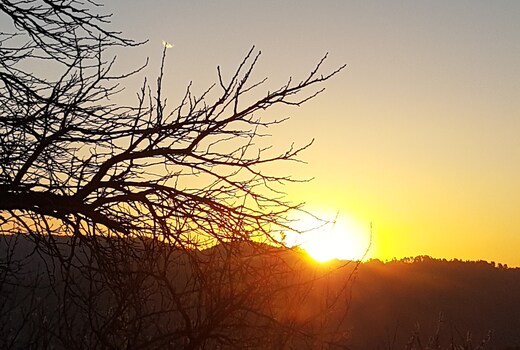 Diwan Lodge | Mountain-view Rooms