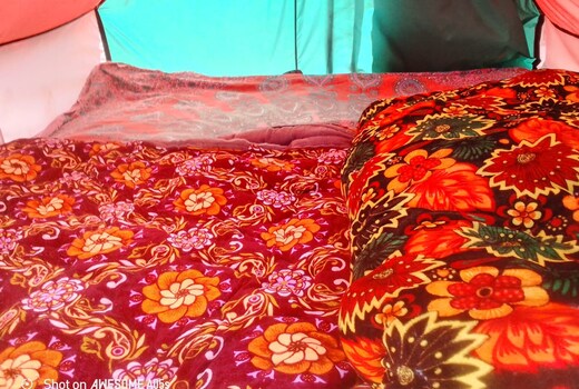 Triveni Camp Prayagraj
