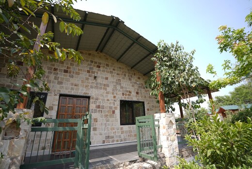 Saffron Farms