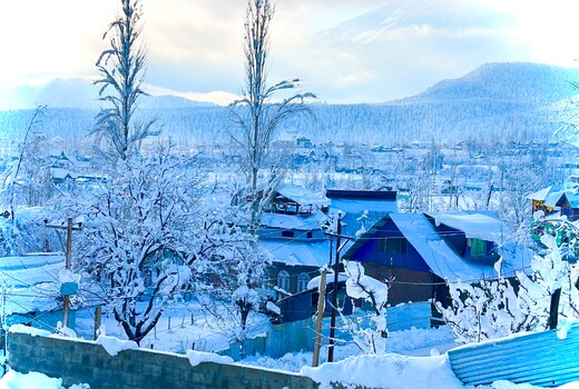 Everest Guest House Tangmarg