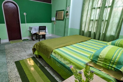 Saikia Nest- Homestay