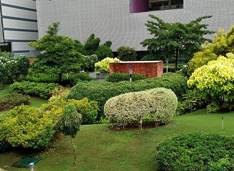 SKY SERVICE APARTMENT