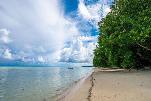 Green Wood Beach Resort