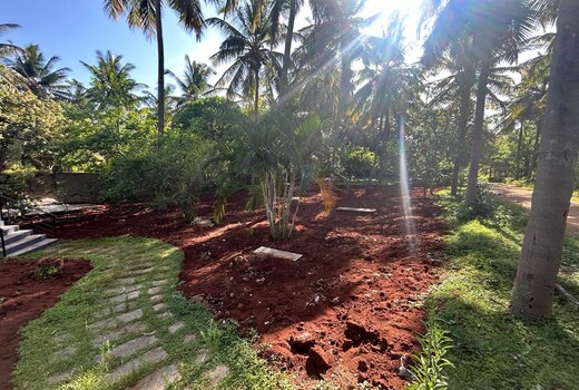 The Coco Ranch