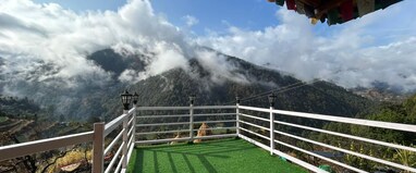 Mehra Paradise & Cafe