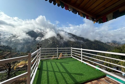 Mehra Paradise & Cafe