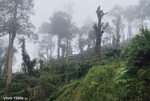 Mahima Farms