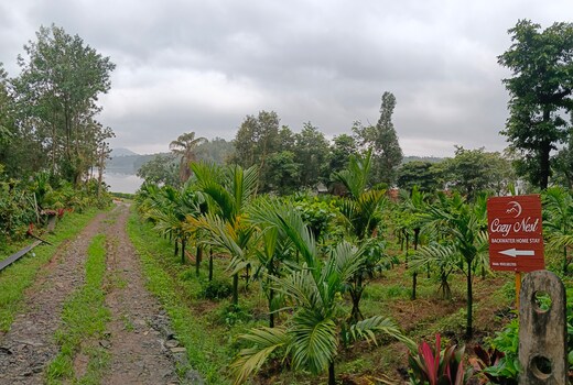 Cozy Nest backwater homestay