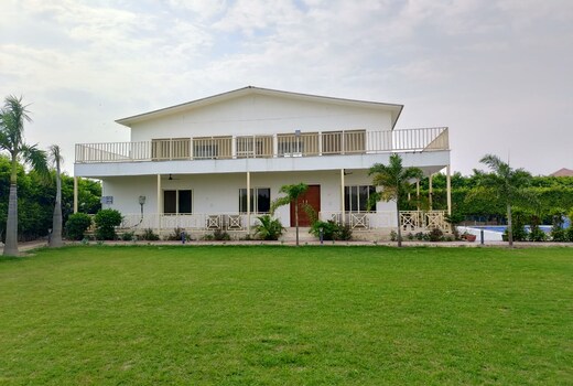Partybea farms
