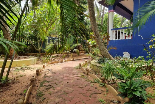 Lazy Palm Beach Apartments | Rooms & Pool