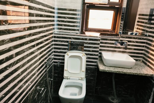 Hotel Amar Leela