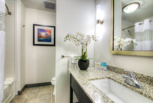 Hampton Inn by Hilton Houston I-10 East