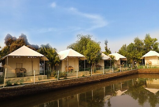 Jungle Camp
