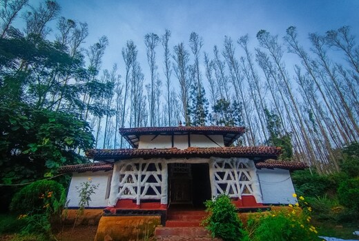 Desia Eco Camp