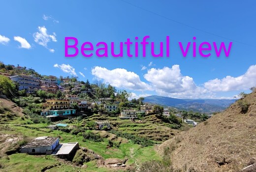 Goodwill Homestay