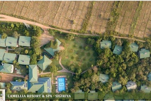 Camellia Resort and Spa