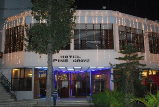 Hotel Pine Grove