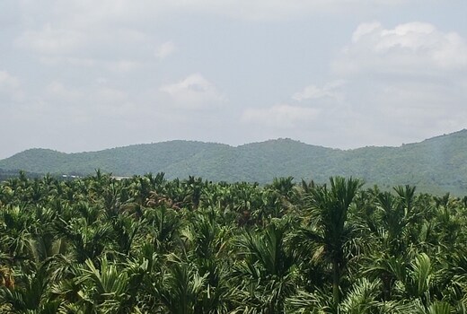 SUNMOON HOMESTAY