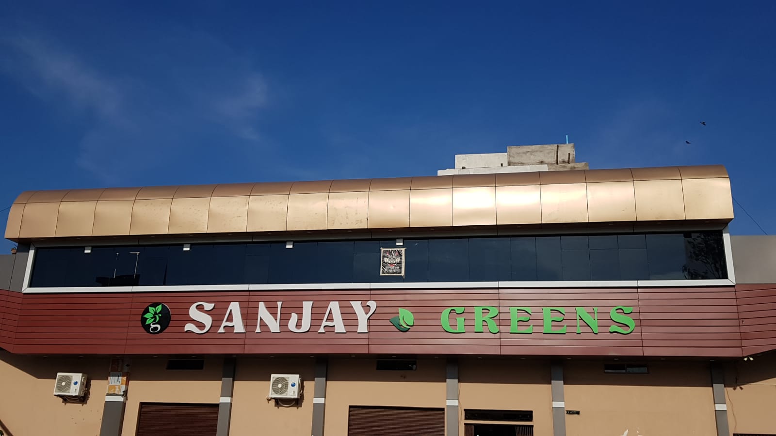 sanjay greens